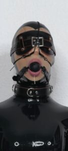 Nosehook and gag