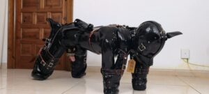 Pet milked 😵‍💫😵‍💫